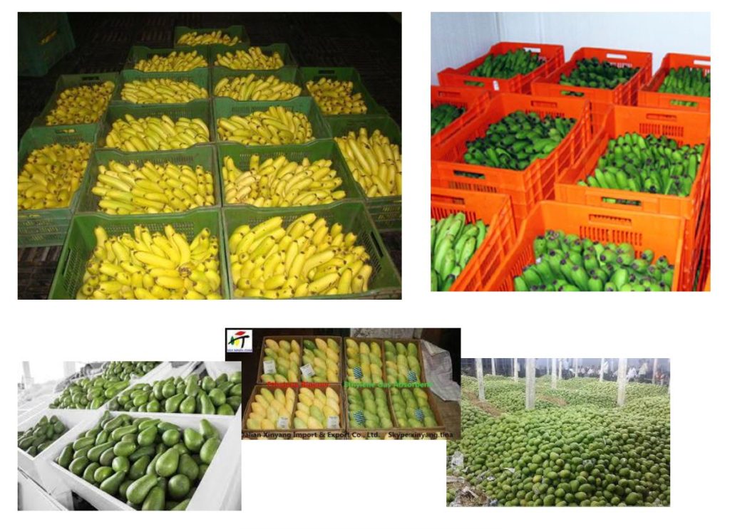 سبز زدایی میوه ها
