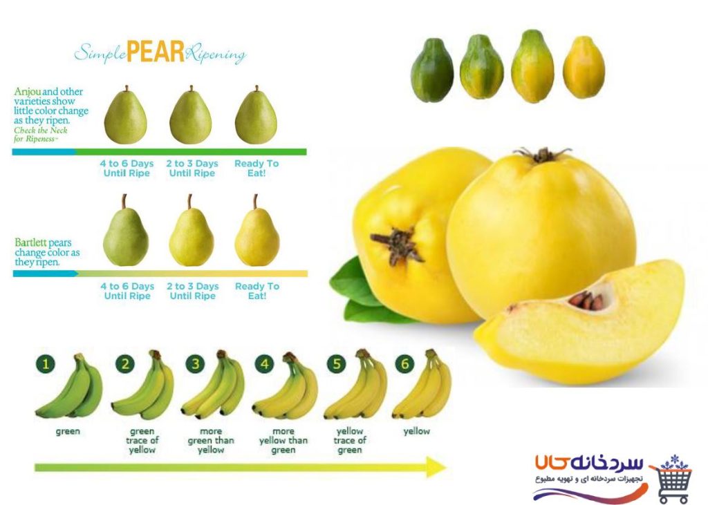 سبز زدایی میوه ها