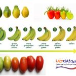 سبز زدایی میوه ها