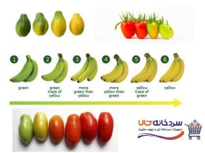 سبز زدایی میوه ها